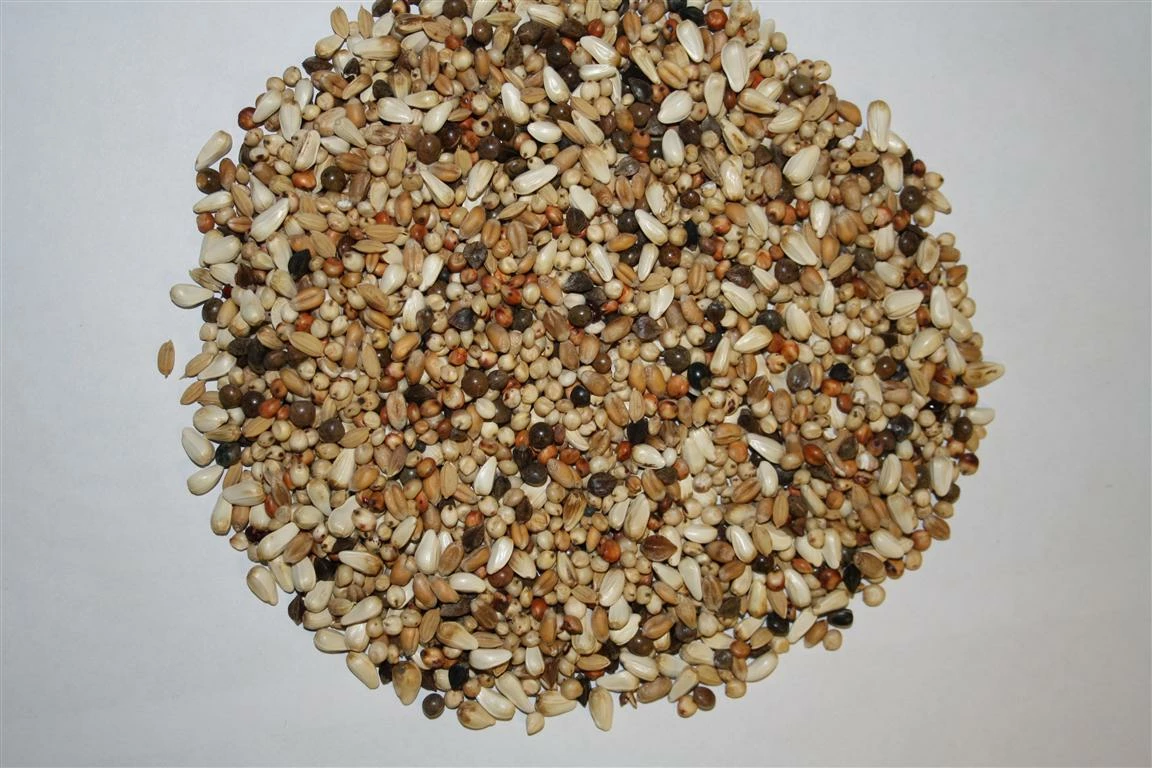 Paloma Nr.10 W.S. Diamond 20kg 1 Paloma Nr.10 W.S. Diamond 20kg