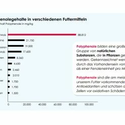 Versele Master Witwer 20kg 6 Versele Master Witwer 20kg -Tauben Geschäft antioxidantien 11