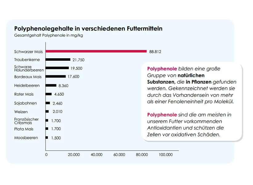 Versele Winter Plus I.C.⁺ 20kg 3 Versele Winter Plus I.C.⁺ 20kg – Bild 3