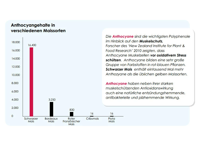Versele Champion Plus IC+ Black Label, 20kg 4 Versele Champion Plus IC+ Black Label, 20kg – Bild 4