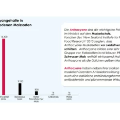Versele Master R Exclusiv 20kg -Tauben Geschäft antioxidantien 22