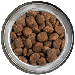 Belcando Adult Power 2er-Pack 25kg -Tauben Geschäft belcando napf adult power 800x8000