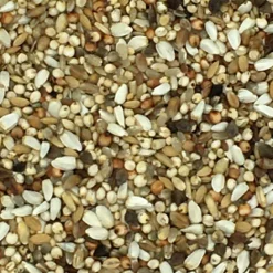 Beyers 24 - Superdiät 25kg