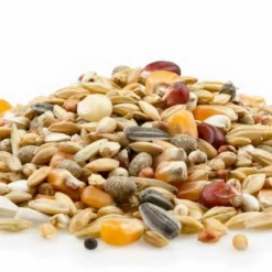 Tauben Geschäft 28 Mifuma Fitness 25kg