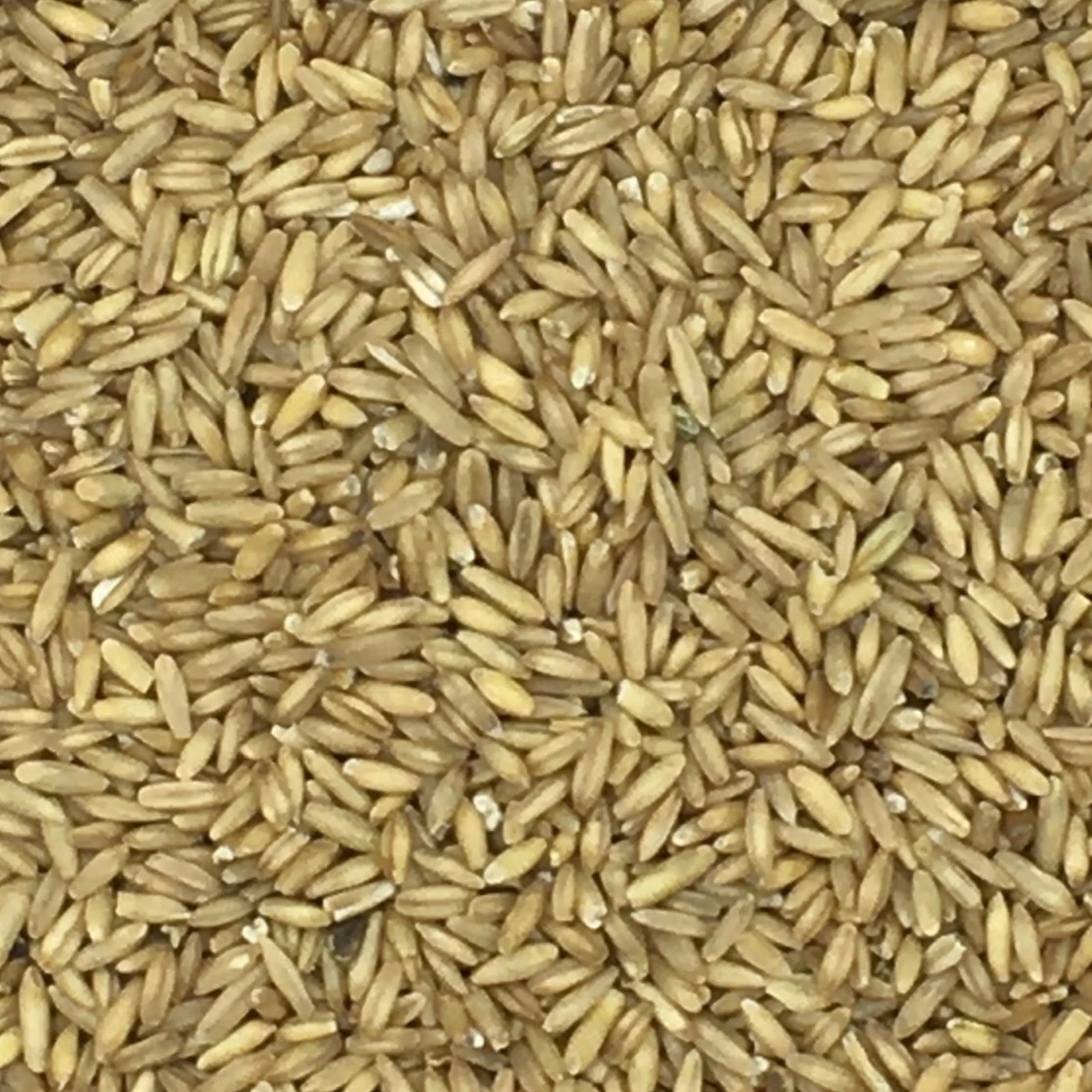 Haferkerne - Vanrobaeys 25kg 1 Haferkerne - Vanrobaeys 25kg