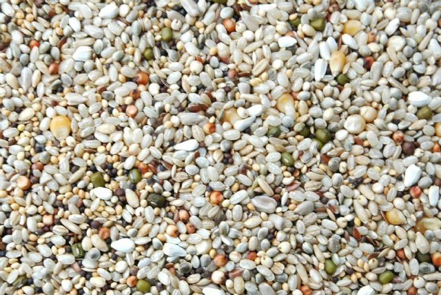 Matador Boarding Mix 20kg 1 Matador Boarding Mix 20kg