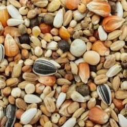 Matador Jungtauben Reise 25kg