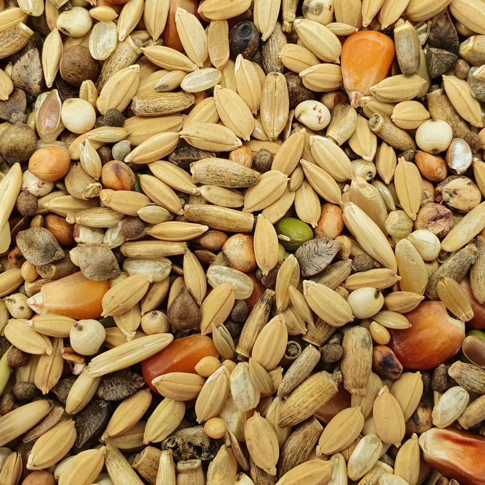 Matador Premium Detox 10kg 1 Matador Premium Detox 10kg