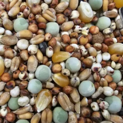 Paloma Nr.49 Super Zucht U. Jungt. Mit Mais 25kg