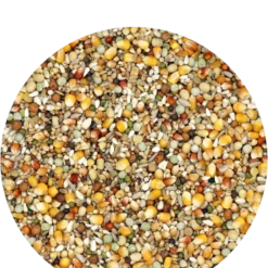 Versele Reise Active Life 25kg