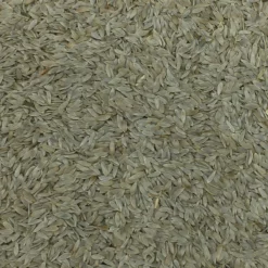 Salatsaat - Gladen 2,5kg