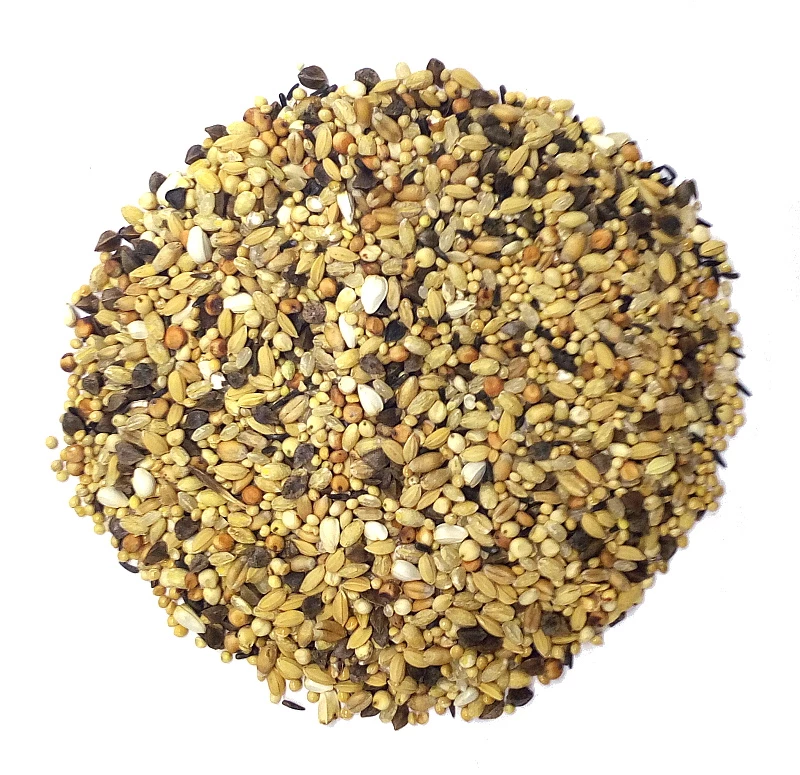 Spinne SoMoDiMi - Power Sprint 25kg 1 Spinne SoMoDiMi - Power Sprint 25kg