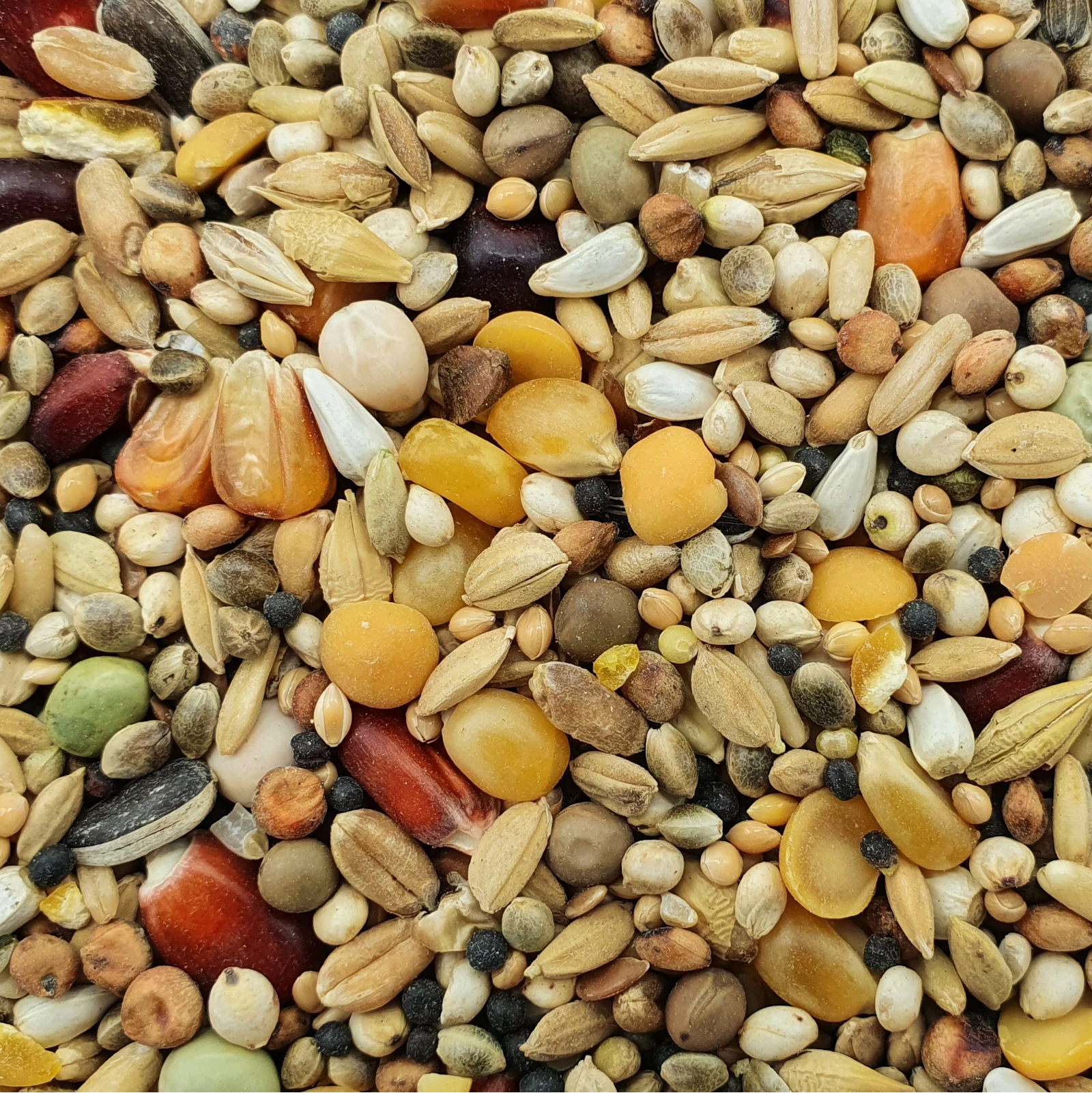 Spinne Stieneker Power 25kg 1 Spinne Stieneker Power 25kg