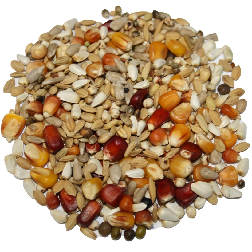 Beyers Galaxy Sport Light 20kg 1 Beyers Galaxy Sport Light 20kg