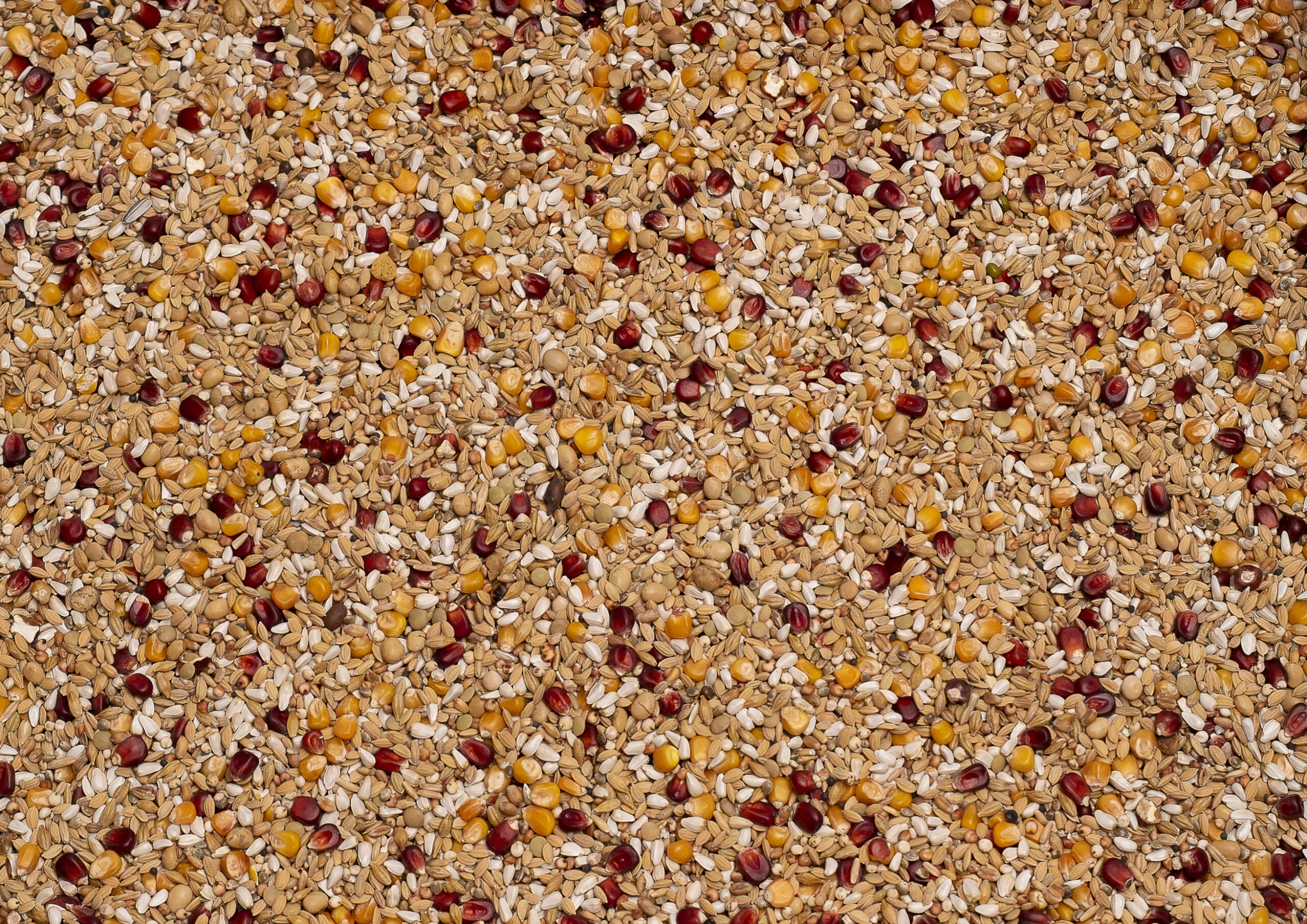 Beyers Premium Enzymix Relax 25Kg 1 Beyers Premium Enzymix Relax 25Kg