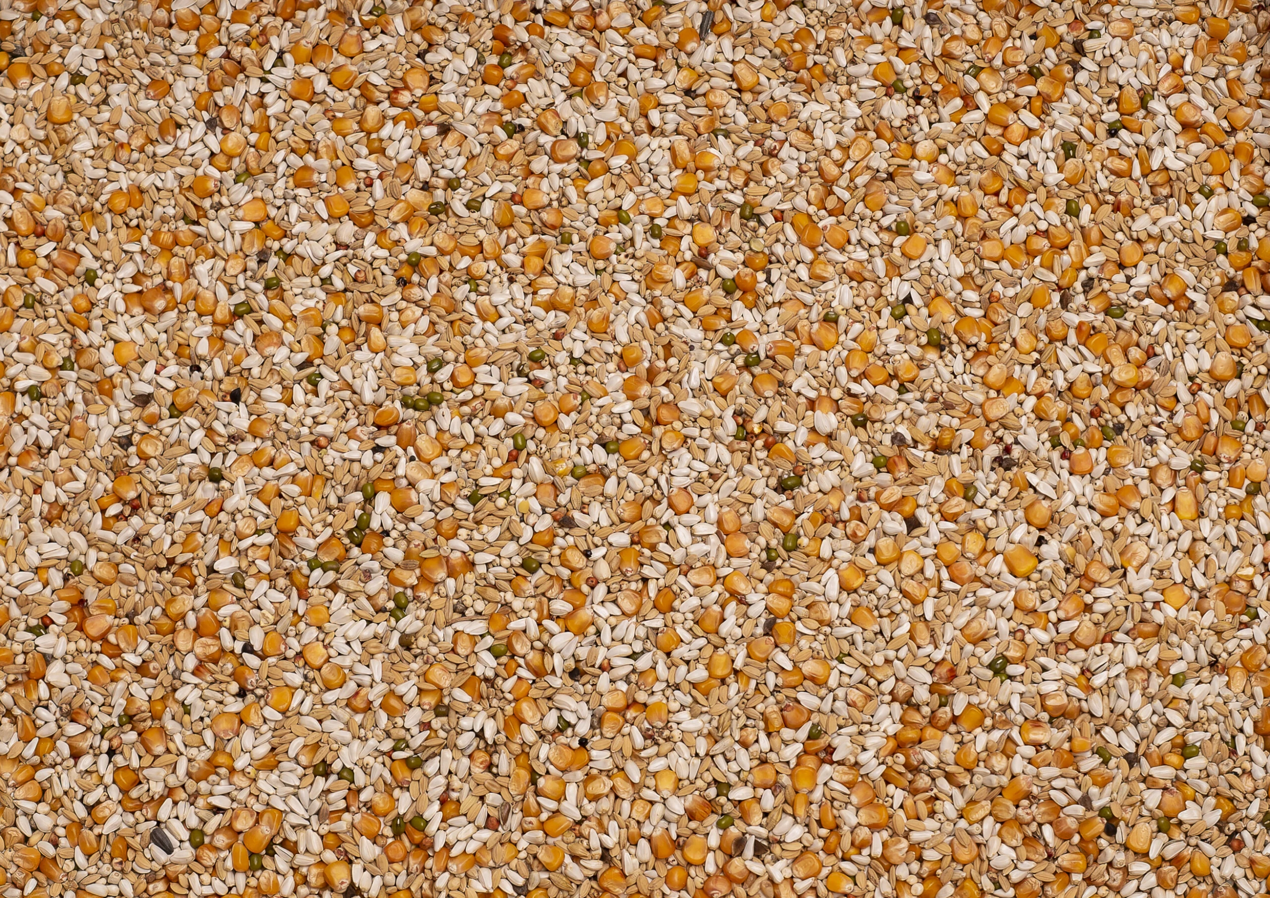 Beyers Premium Vandenabeele 20Kg 1 Beyers Premium Vandenabeele 20Kg